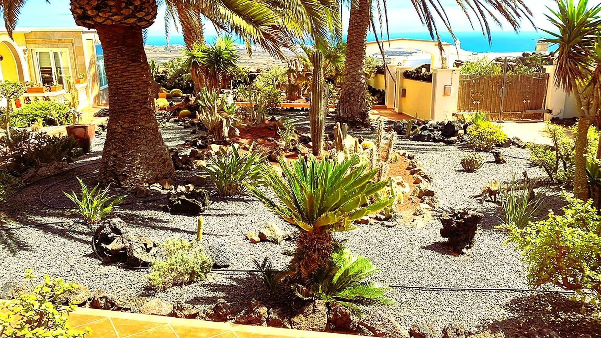 شقة Tiny House Madora - Sea View - Amazing Garden - Quiet Location - Bodegas & Hiking Trails Nearby La Asomada