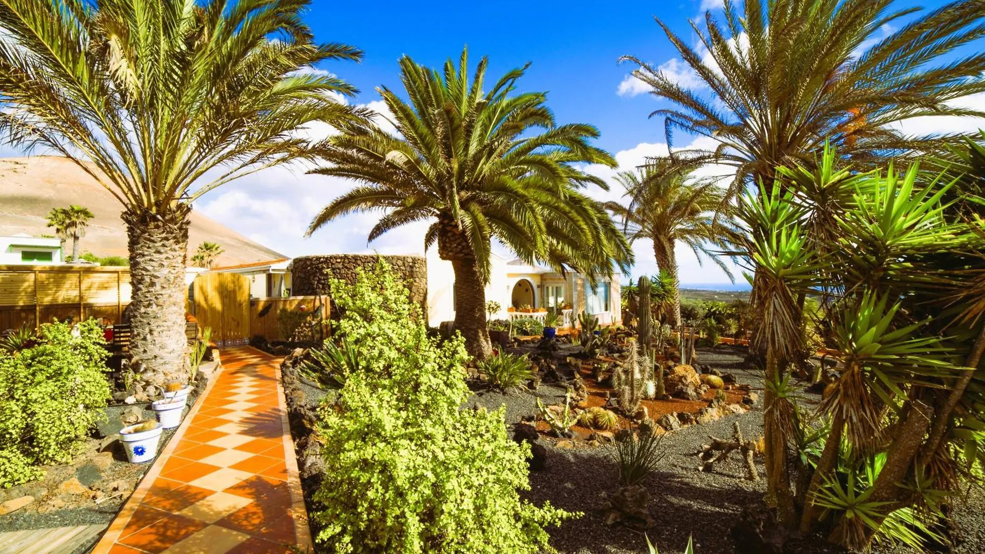 شقة Tiny House Madora - Sea View - Amazing Garden - Quiet Location - Bodegas & Hiking Trails Nearby La Asomada  إسبانيا